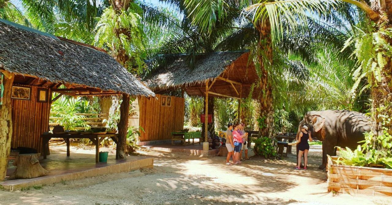 考索河家园度假村 Khao Sok National Park 外观 照片