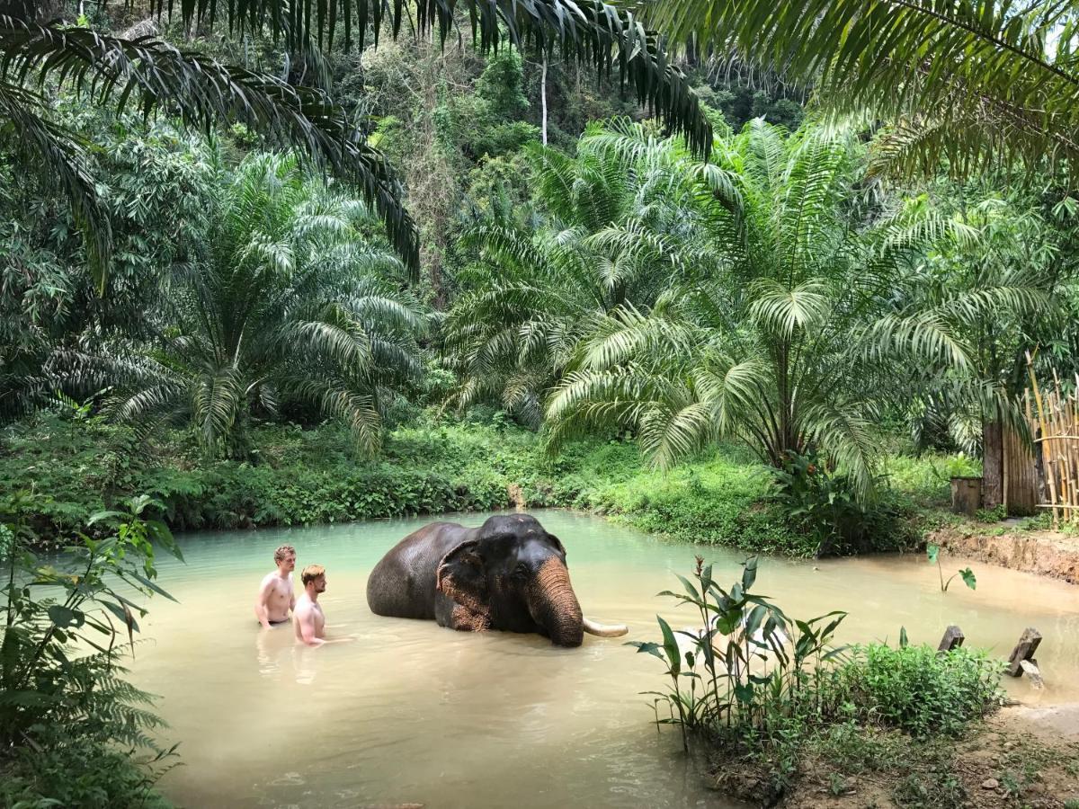 考索河家园度假村 Khao Sok National Park 外观 照片